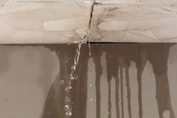 Professional Burst Pipe Cleanup technician working in Polo, IL